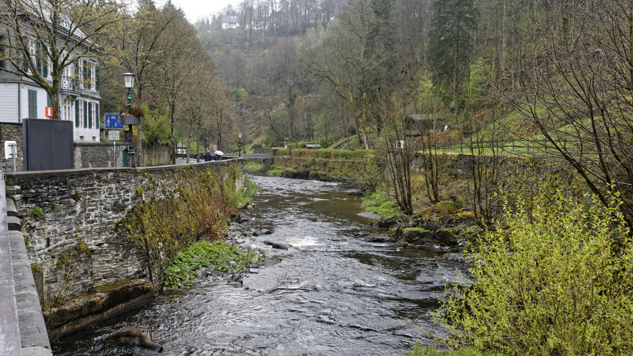 20170504  3702  Monschau, North RhineWestphalia, Germany